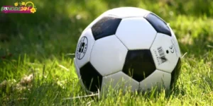 Chiến lược chơi hiệu quả với tỷ lệ kèo nhà cái