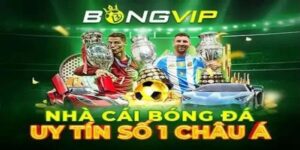 Bongvip – Thiên Đường Hội Tụ Giải Trí Đa Dạng Và Hấp Dẫn