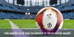 Trải Nghiệm Cá Độ Bóng Đá Bongvip Uy Tín Và Chuyên Nghiệp